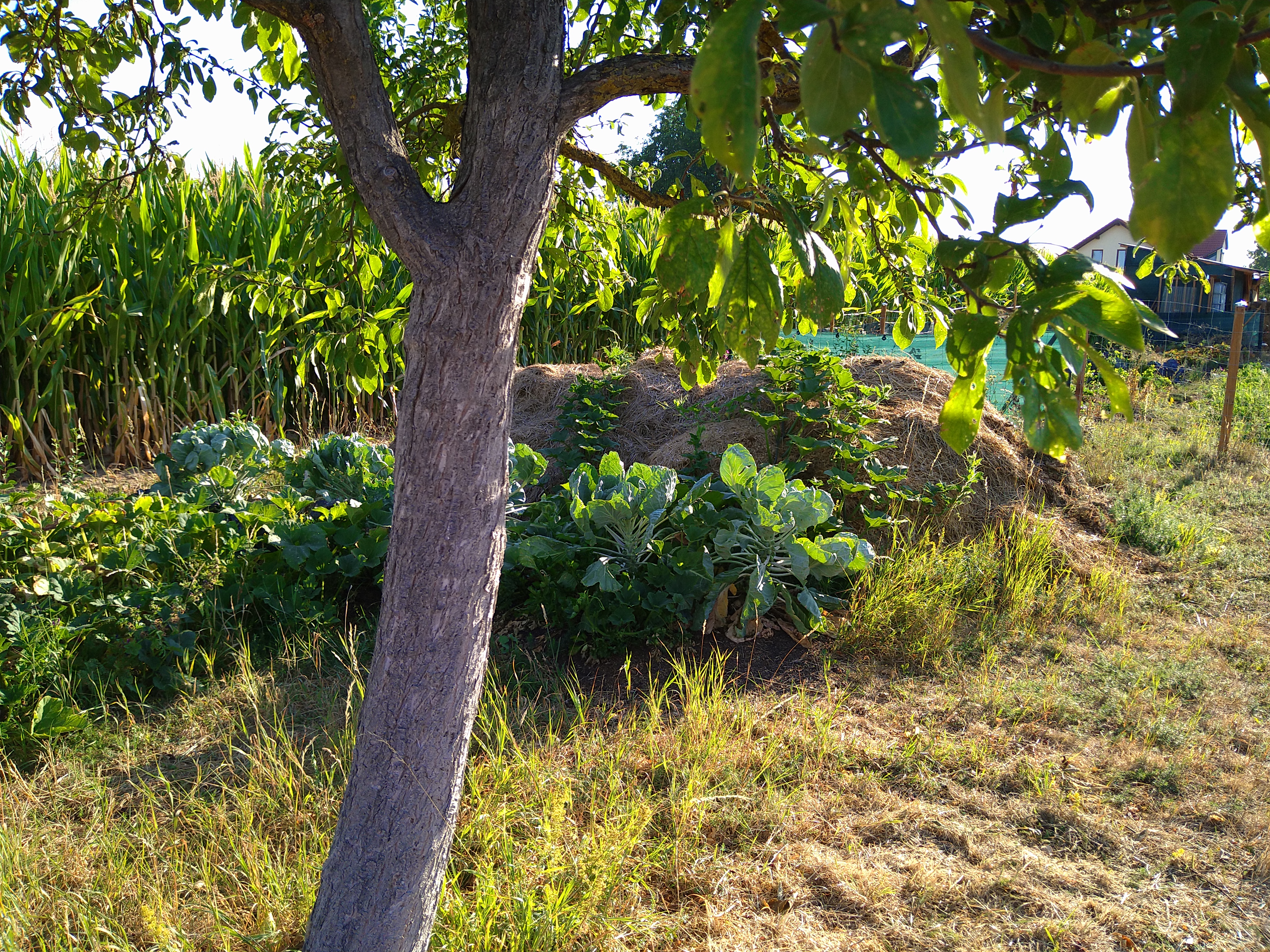 Blick auf unsere Wiese, unseren Garten und unseren Kompost