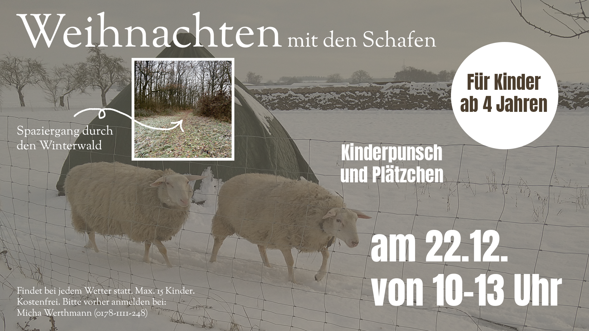 Werbebanner mit Schafen im Schnee im Hintergrund. Einladung zu einem Spaziergang durch den Winterwald am 22.12.2025 von 10-13 Uhr für Kinder ab 4 Jahren unter dem Motto 